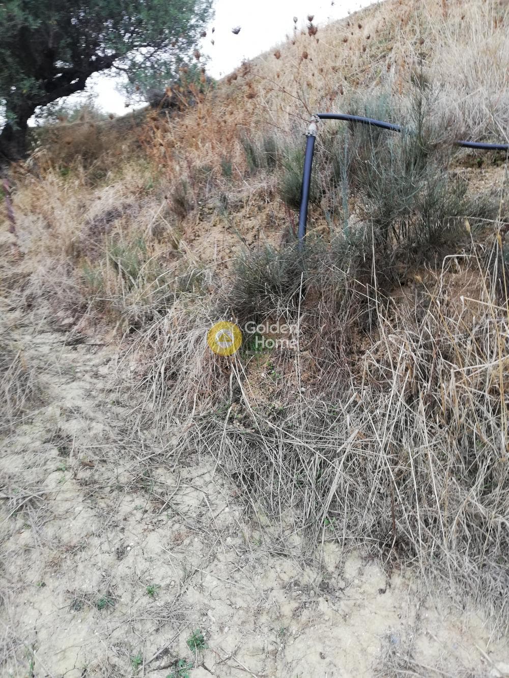 Parcel in Skalani, Episkopi — Photo 8 of 19