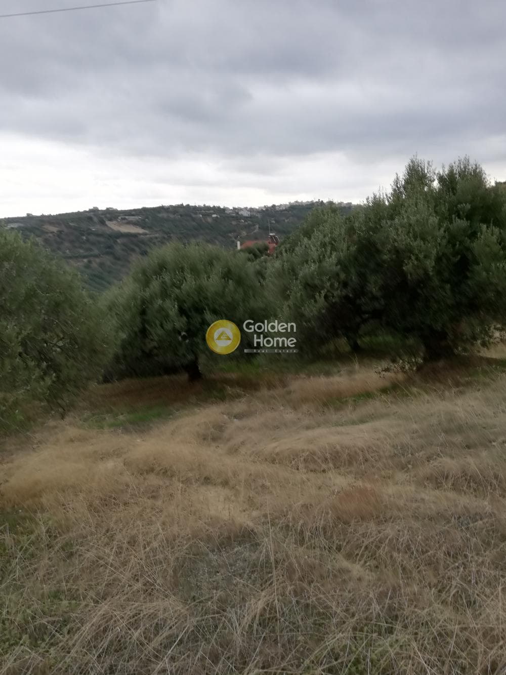 Parcel in Skalani, Episkopi — Photo 12 of 19