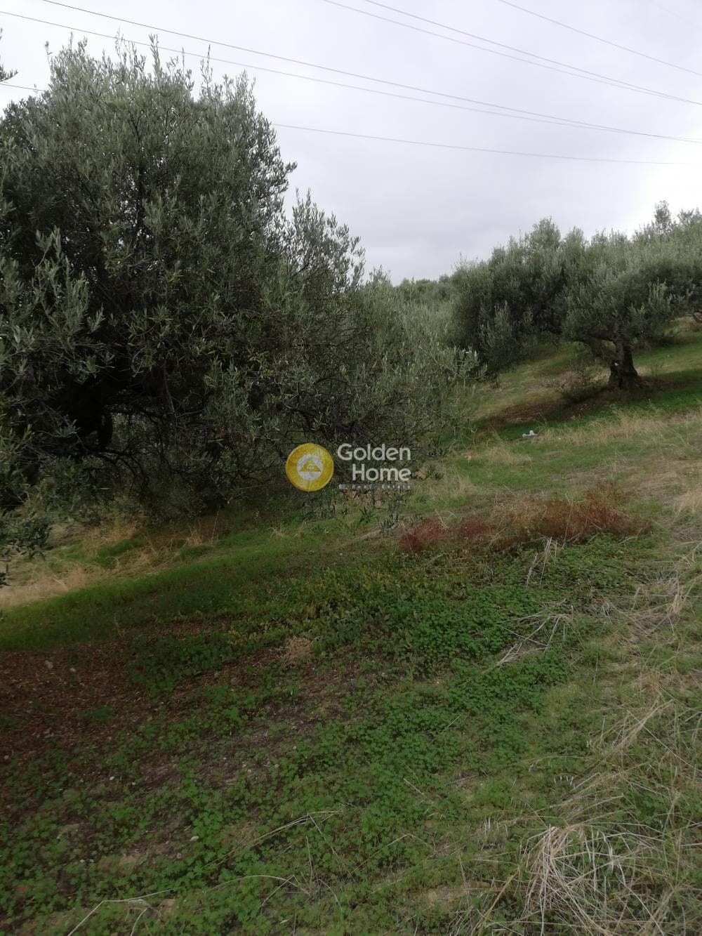 Parcel in Skalani, Episkopi — Photo 10 of 19
