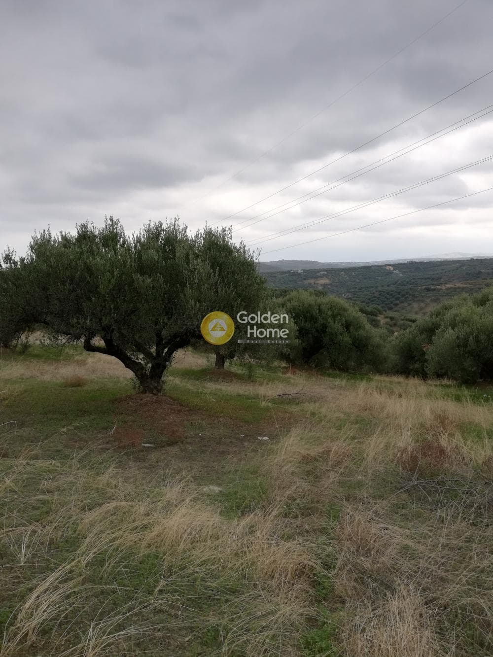 Parcel in Skalani, Episkopi — Photo 19 of 19