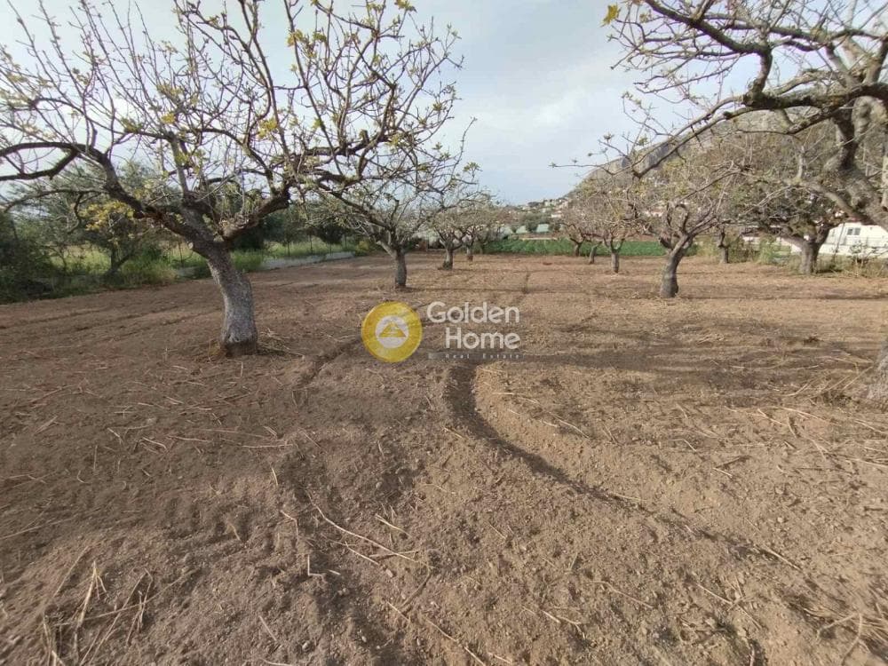 Building Plot in Agia Paraskevi, Salamina — Photo 4 of 10