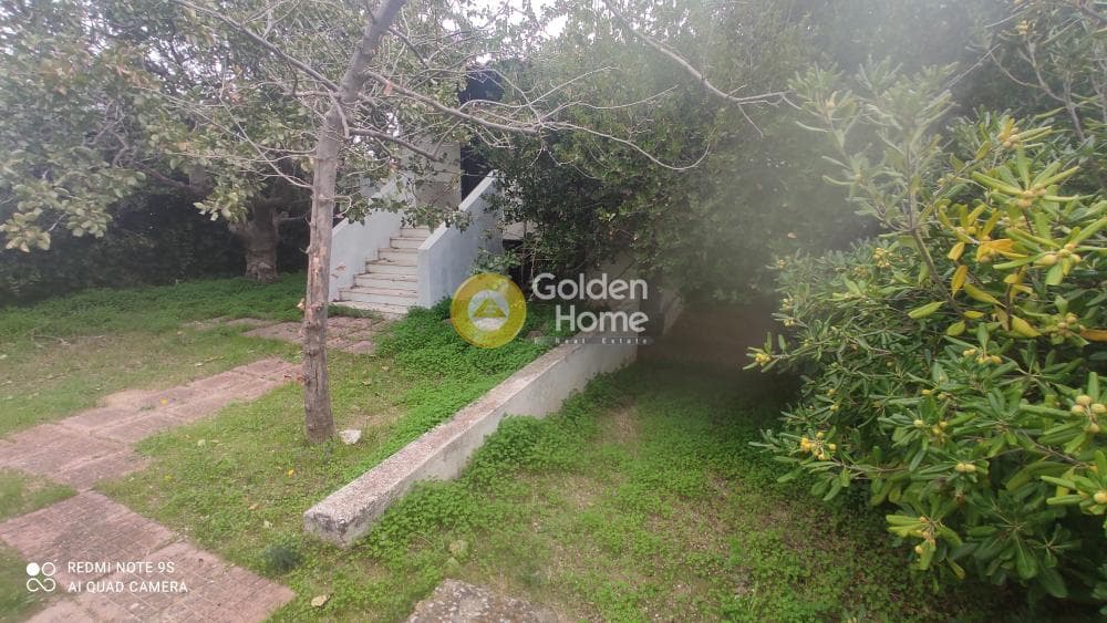 Μονοκατοικία στην Καλύβια, Καλύβια Θορικού — Φωτογραφία 3 από 17