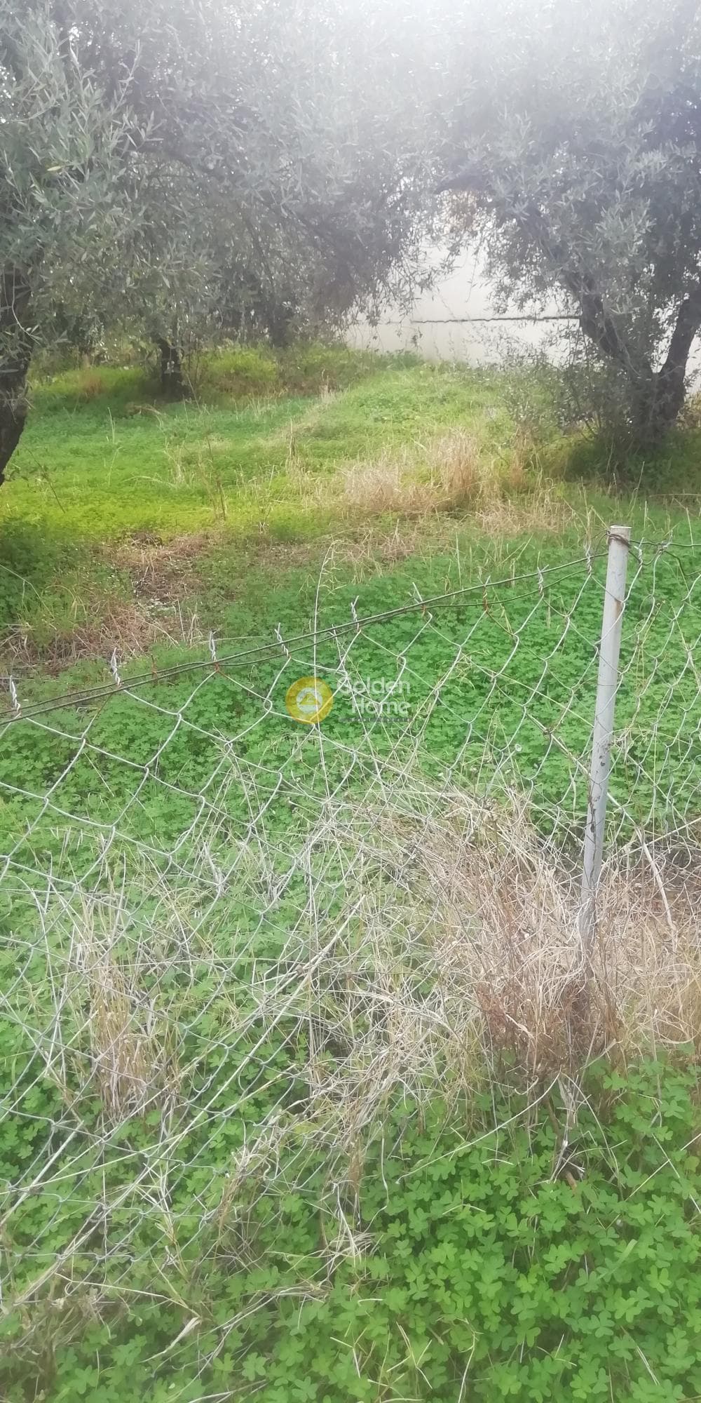 Οικόπεδο στην Βασιλείες, Αρχάνες — Φωτογραφία 9 από 9