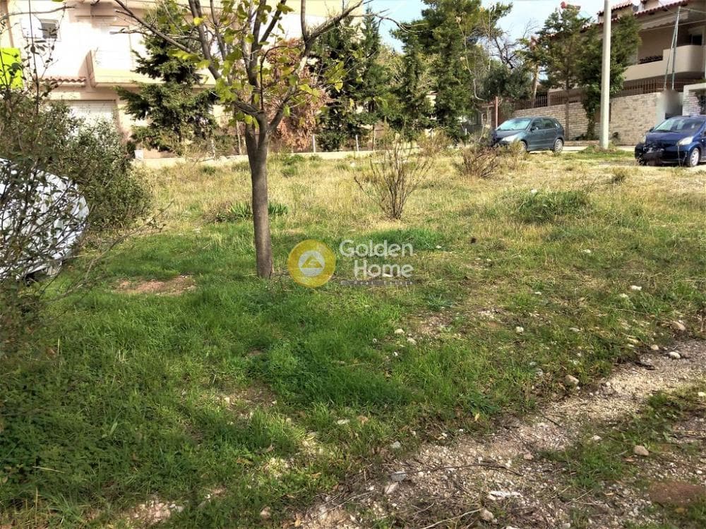 Building Plot in Megala Sxoinia A, Acharnes — Photo 5 of 7