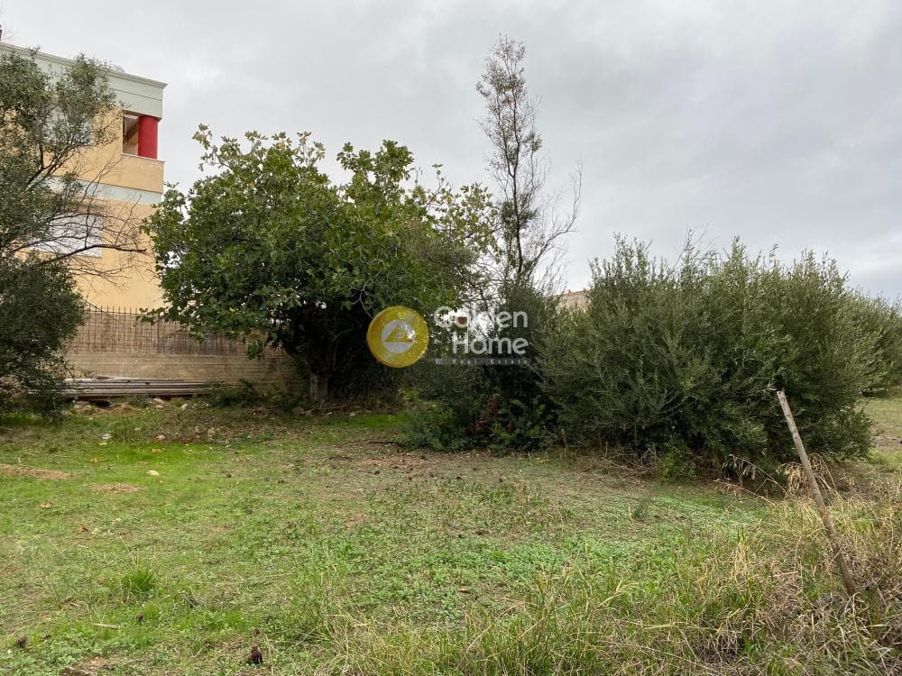 Building Plot in Oikismos Kokkino Limanaki, Rafina — Photo 4 of 7