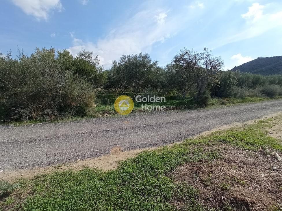 Αγροτεμάχιο στην Καλαμάκι, Τυμπάκι — Φωτογραφία 15 από 20