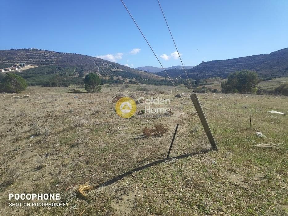 Οικόπεδο στην Νέο Καλαμάκι, Τυμπάκι — Φωτογραφία 16 από 24