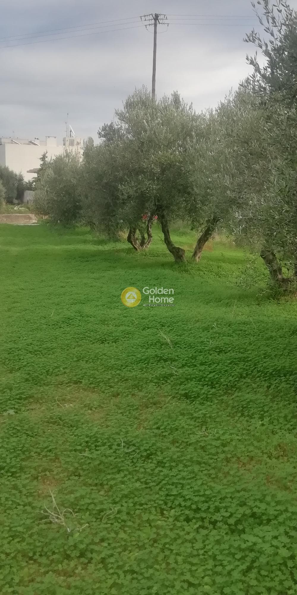 Οικόπεδο στην Βασιλείες, Αρχάνες — Φωτογραφία 5 από 11