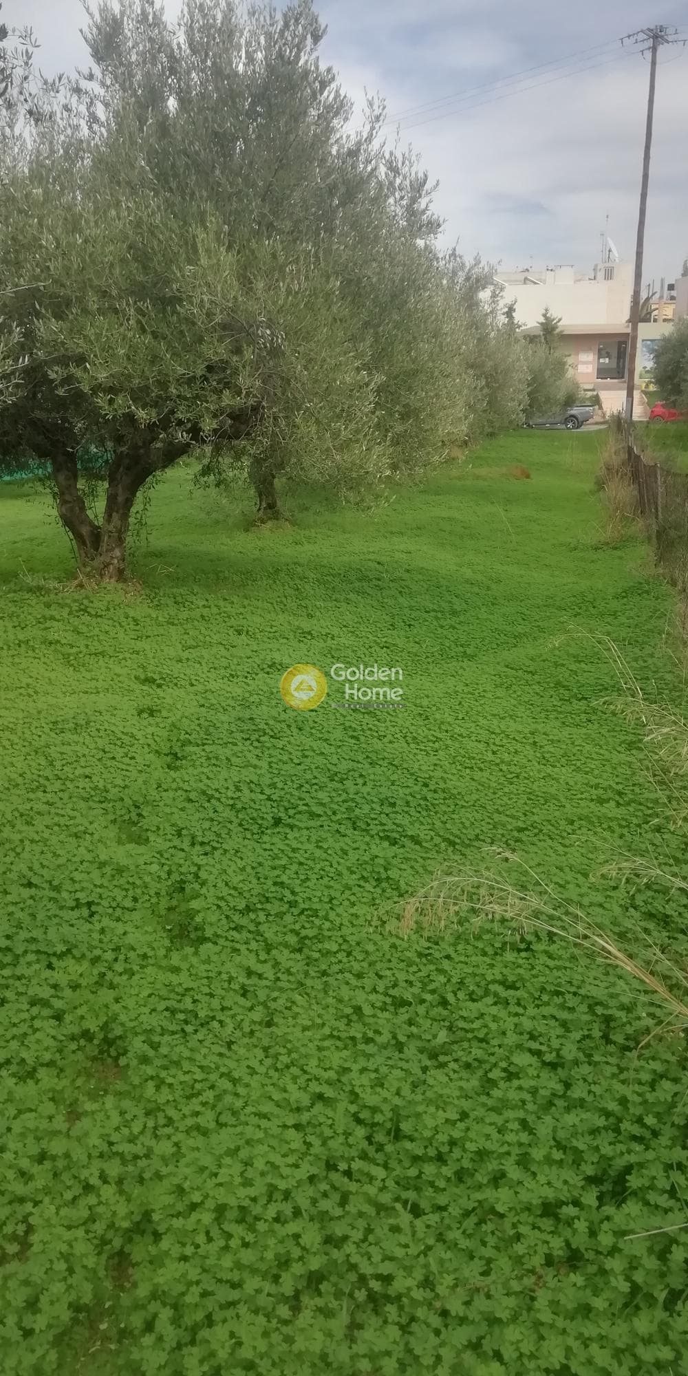 Οικόπεδο στην Βασιλείες, Αρχάνες — Φωτογραφία 3 από 11