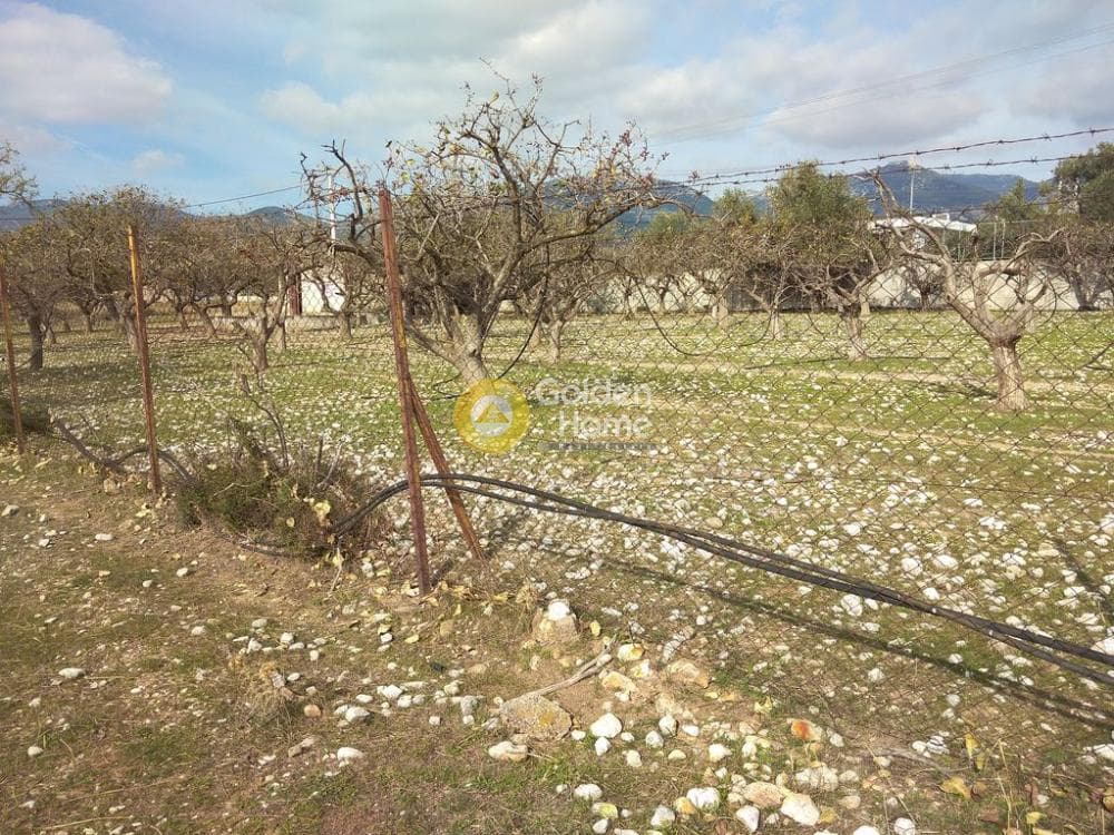 Αγροτεμάχιο στην Ολυμπιακό Χωριό, Κηφισιά — Φωτογραφία 1 από 16