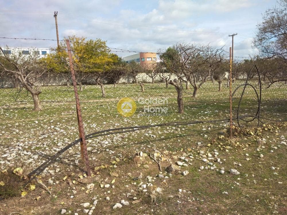 Αγροτεμάχιο στην Ολυμπιακό Χωριό, Κηφισιά — Φωτογραφία 5 από 16