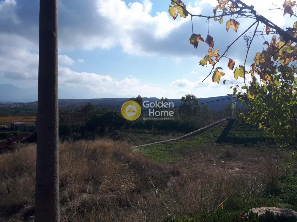 Building Plot in Stironas, Arkalochori — Photo 14 of 17