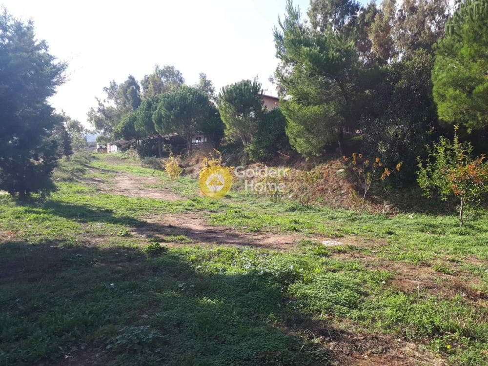 Building Plot in Stironas, Arkalochori — Photo 3 of 17