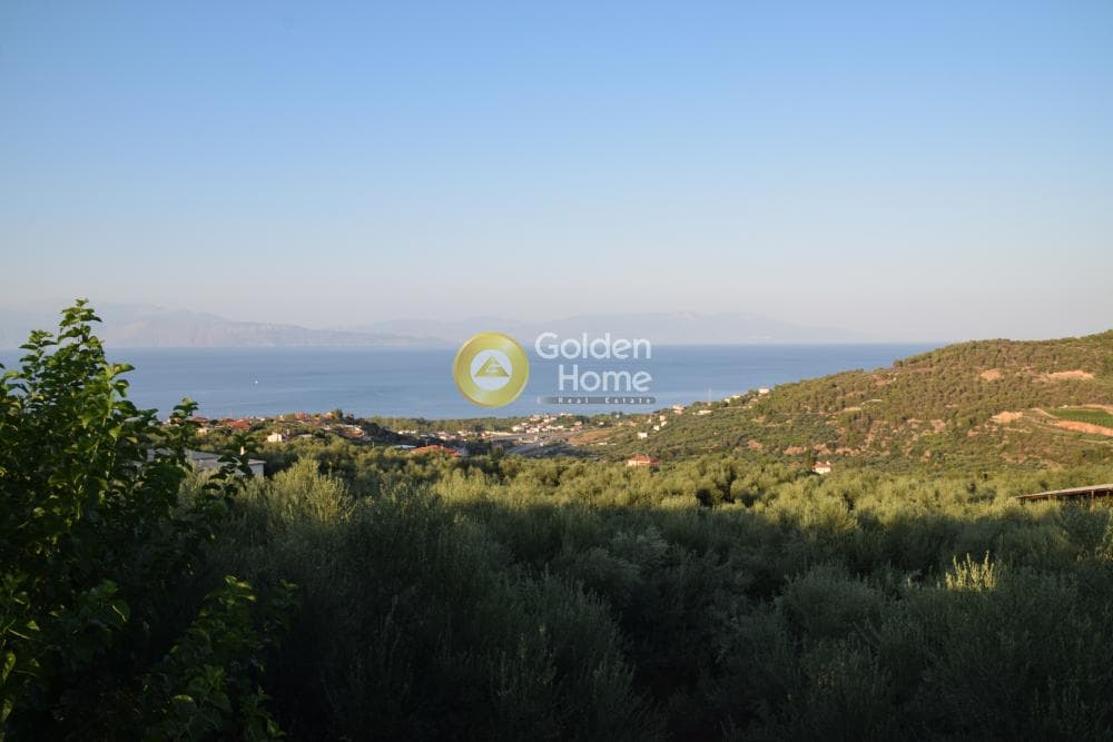 Μονοκατοικία στην Κέντρο, Αιγείρα — Φωτογραφία 14 από 27