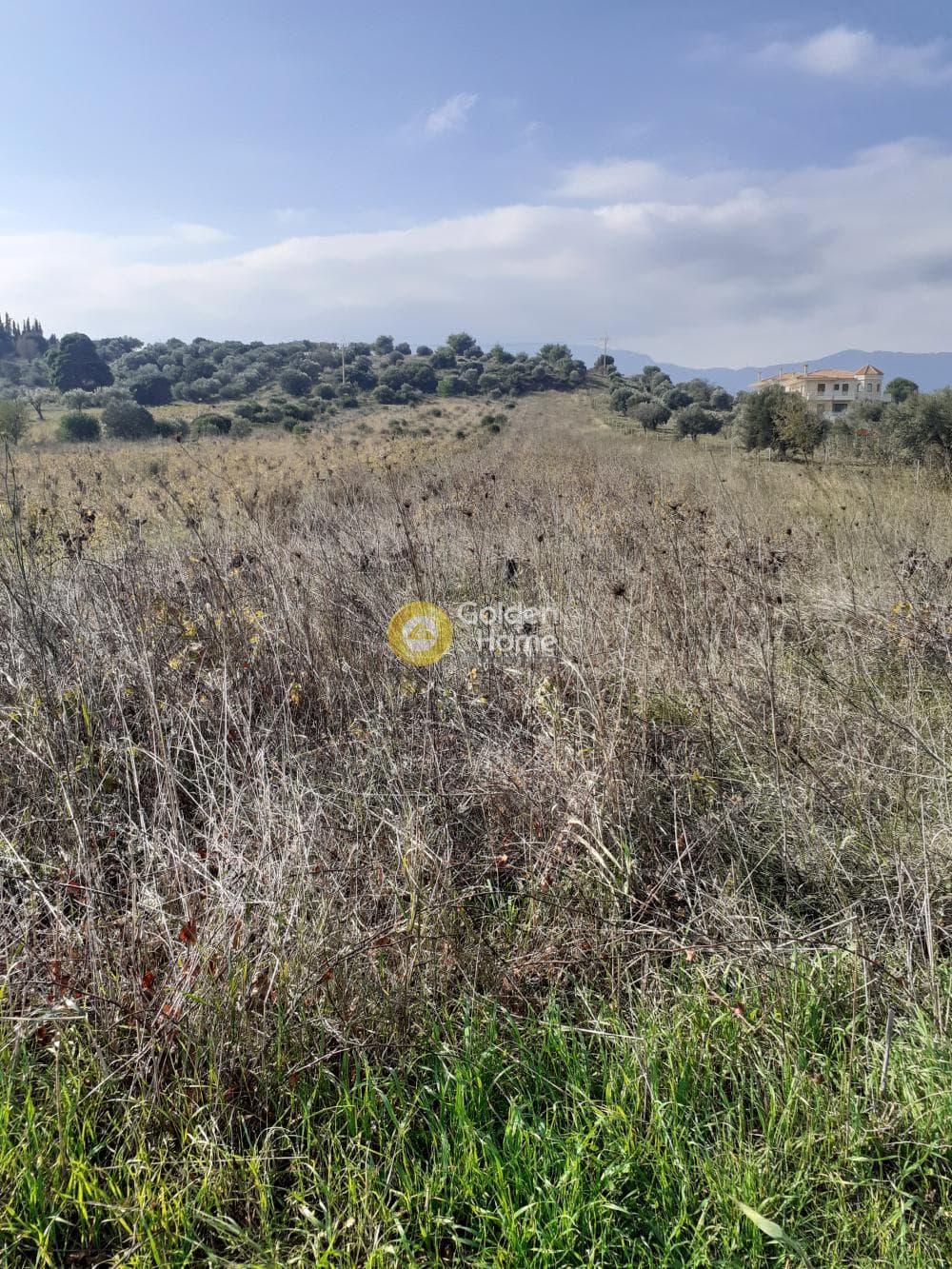 Αγροτεμάχιο στην Νεάπολη, Σπάτα — Φωτογραφία 2 από 3