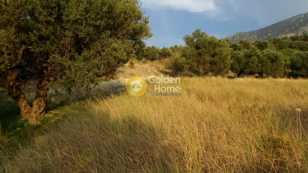Building Plot in Agios Vlasios, Archanes — Photo 2 of 2