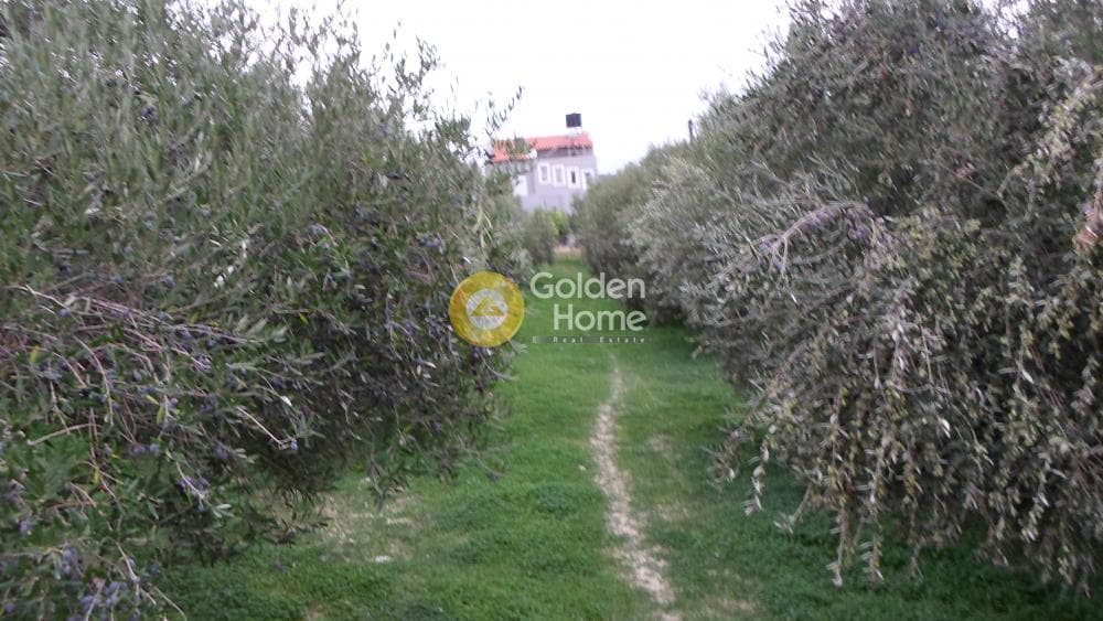 Οικόπεδο στην Φορτέτσα, Ηράκλειο Κρήτης — Φωτογραφία 1 από 8