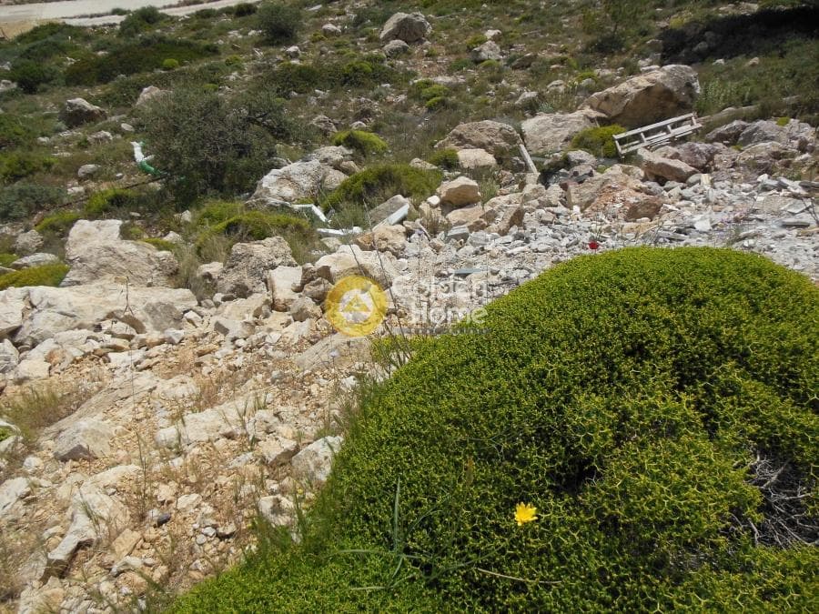 Οικόπεδο στην Σαρωνίδα, Σαρωνίδα — Φωτογραφία 5 από 6