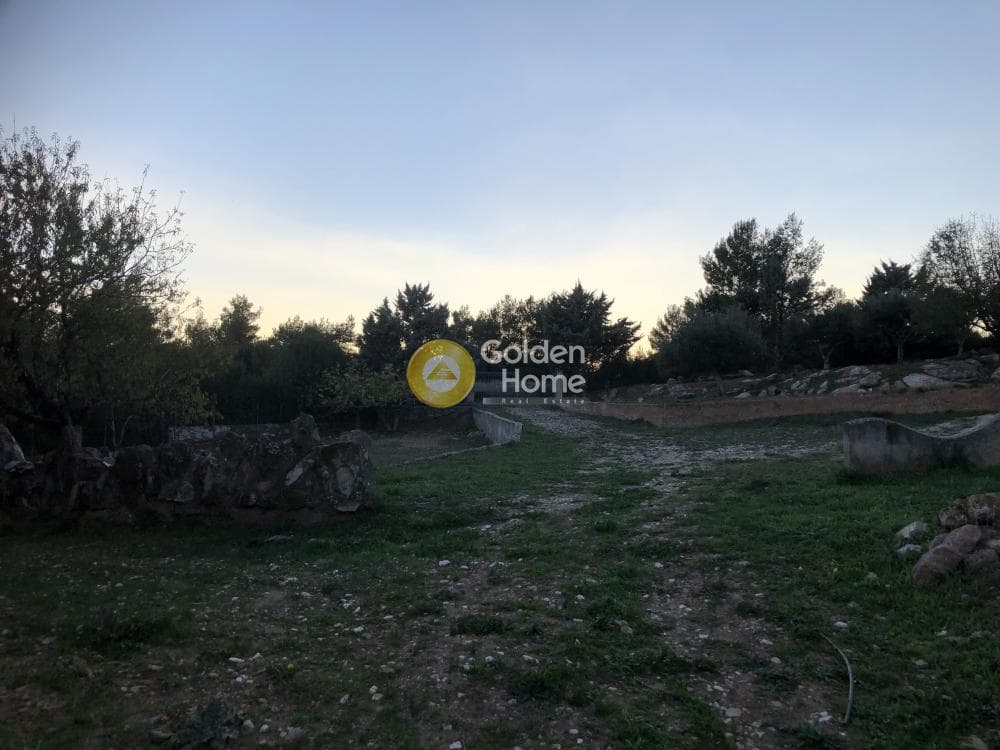 Parcel in Amigdaleza, Stamata — Photo 10 of 12