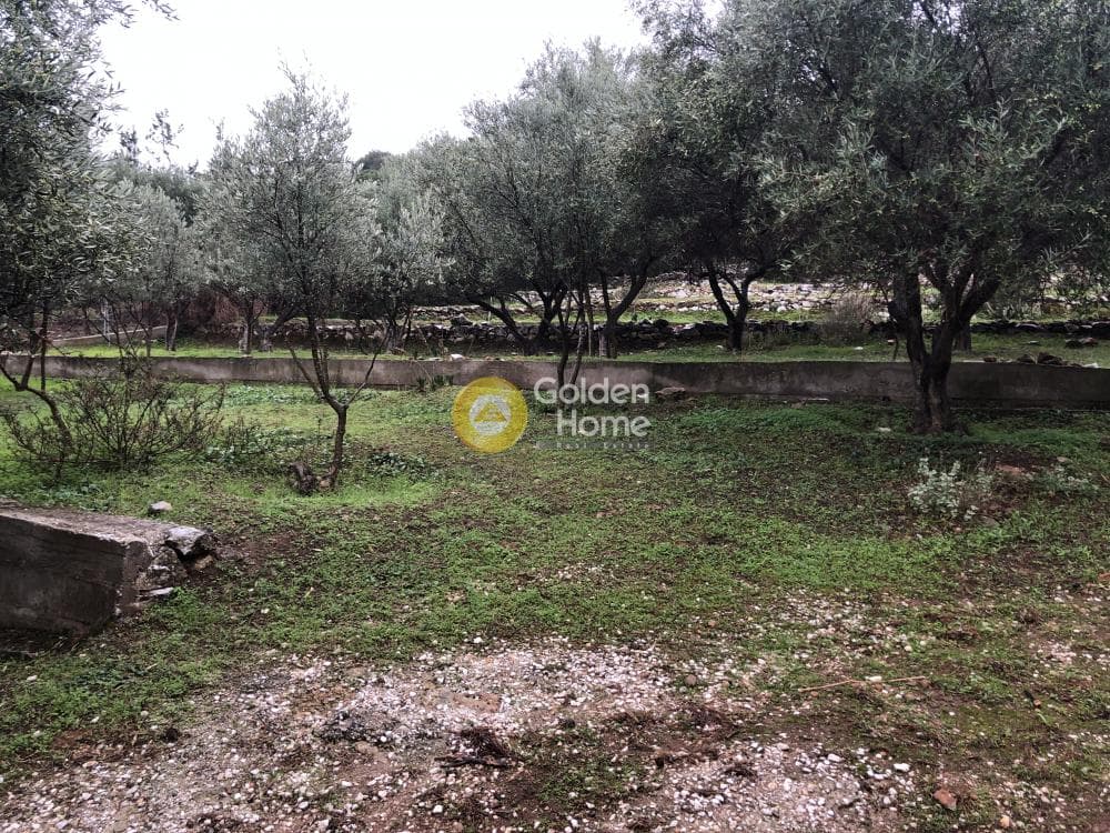 Αγροτεμάχιο στην Αγία Μαρίνα Νέας Μάκρης, Νέα Μάκρη — Φωτογραφία 11 από 14