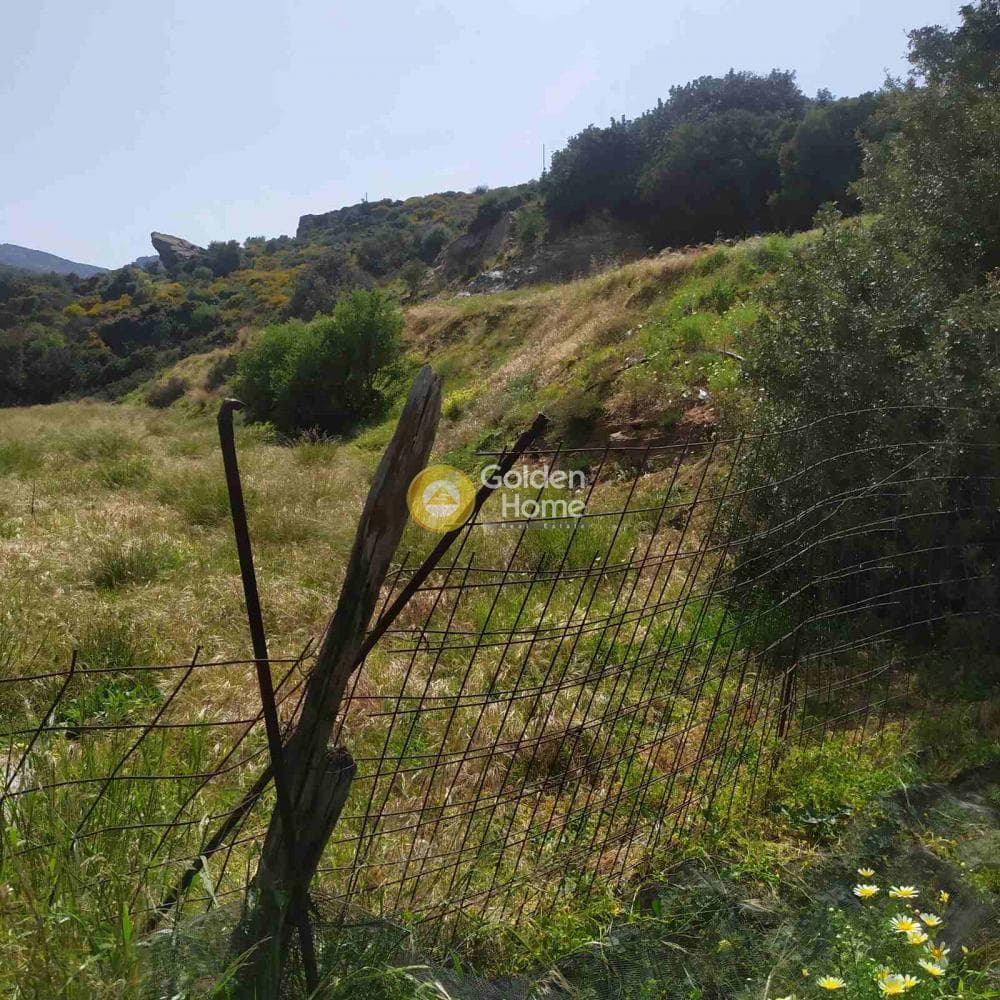 Building Plot in Ligaria, Gazi — Photo 8 of 8