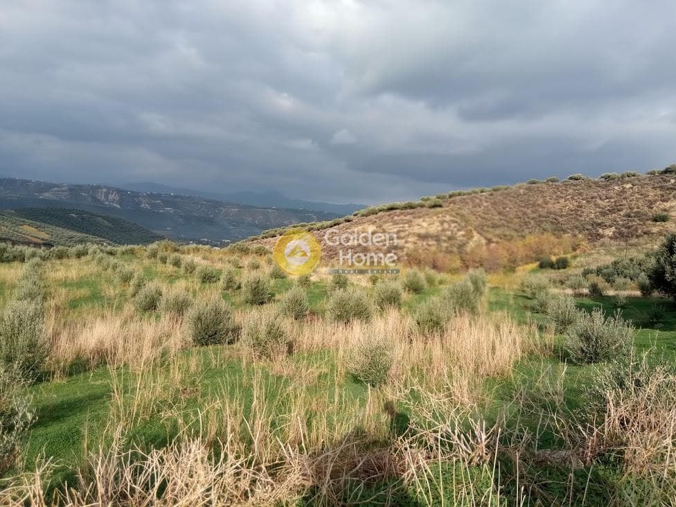 Αγροτεμάχιο στην Άγιος Βλάσιος, Αρχάνες — Φωτογραφία 18 από 18