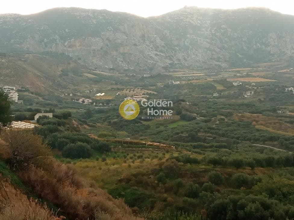Αγροτεμάχιο στην Άγιος Βλάσιος, Αρχάνες — Φωτογραφία 16 από 18