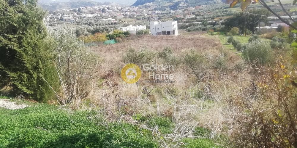 Οικόπεδο στην Κερασιά, Τετραχώρι — Φωτογραφία 10 από 12