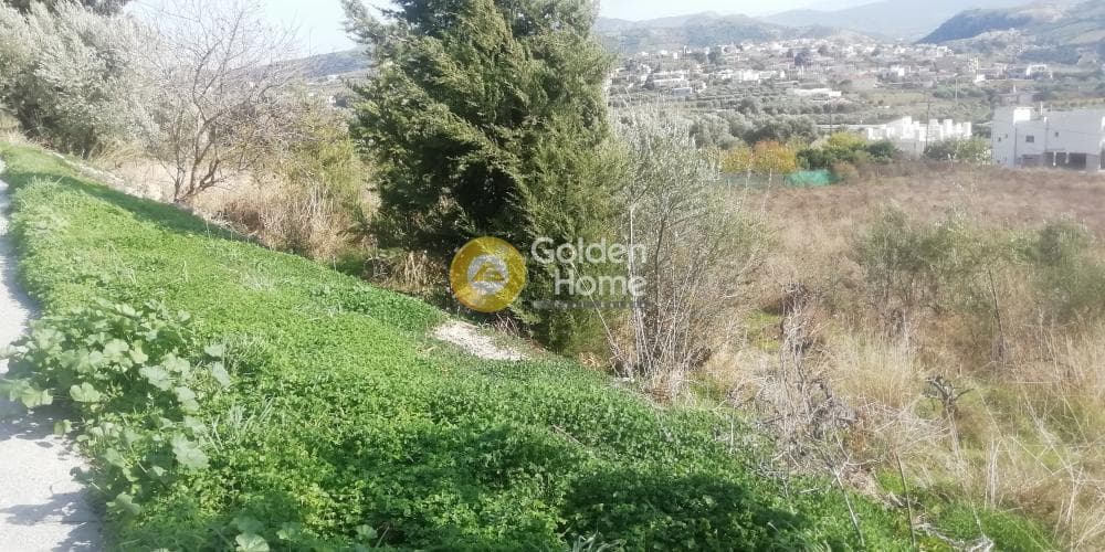 Οικόπεδο στην Κερασιά, Τετραχώρι — Φωτογραφία 9 από 12