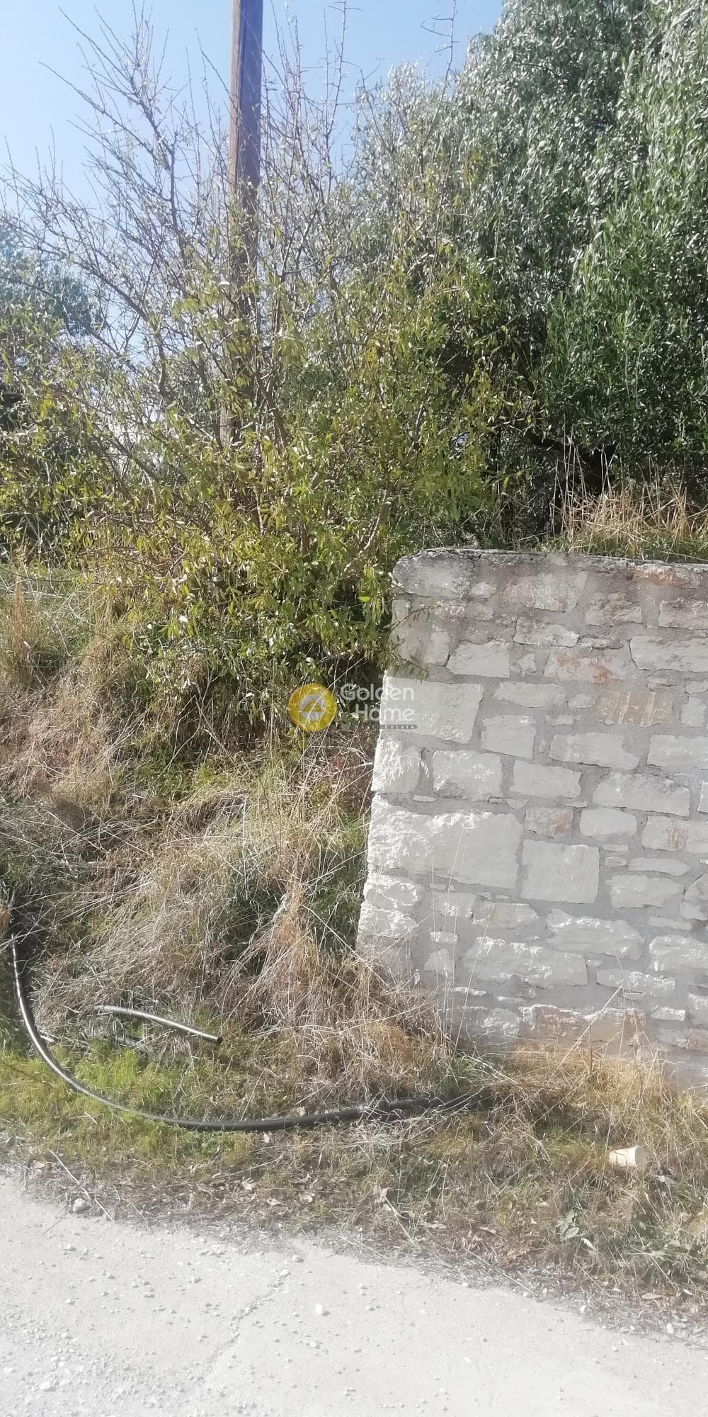 Οικόπεδο στην Κερασιά, Τετραχώρι — Φωτογραφία 10 από 10