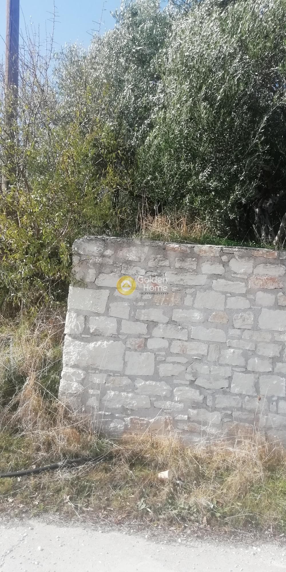 Οικόπεδο στην Κερασιά, Τετραχώρι — Φωτογραφία 9 από 10