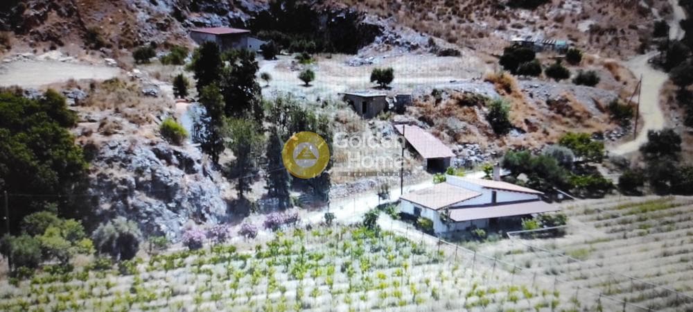 Οικόπεδο στην Αυγενική, Τετραχώρι — Φωτογραφία 1 από 2