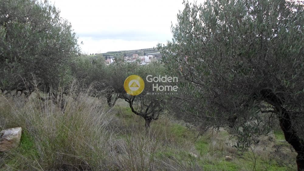 Οικόπεδο στην Κουνάβοι, Αρχάνες — Φωτογραφία 18 από 29