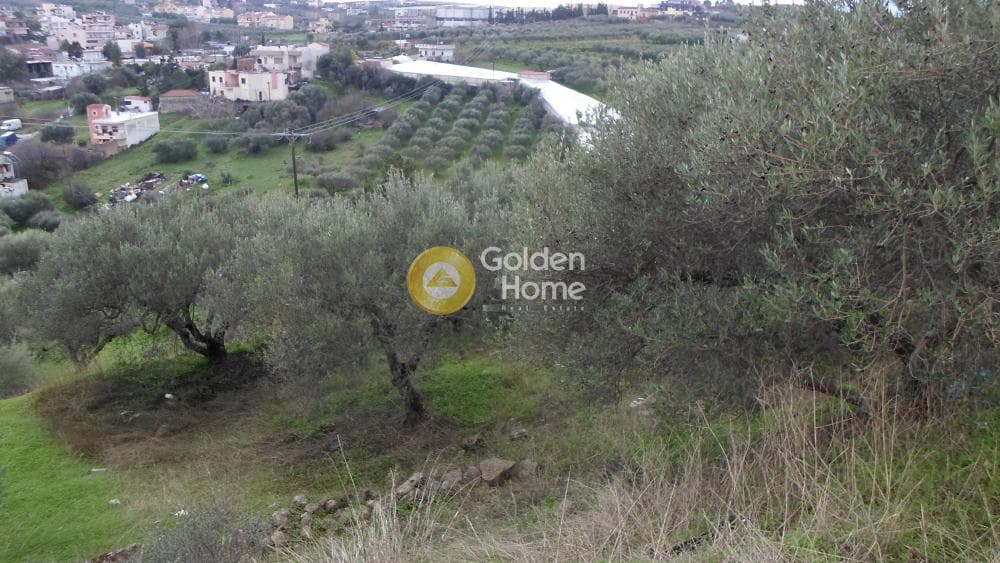 Οικόπεδο στην Κουνάβοι, Αρχάνες — Φωτογραφία 22 από 29