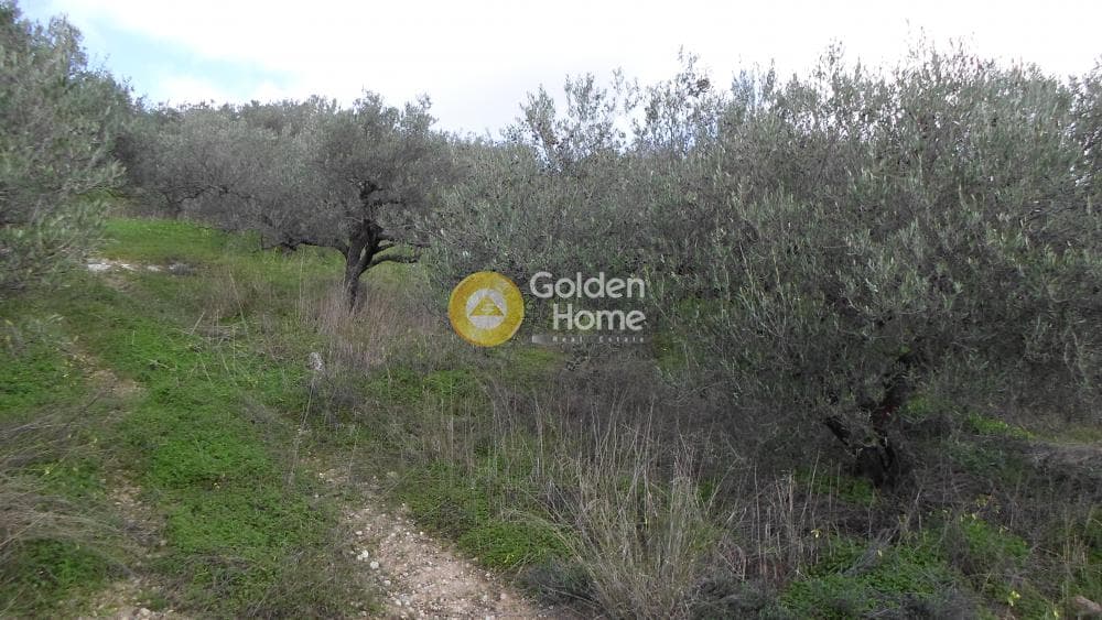 Οικόπεδο στην Κουνάβοι, Αρχάνες — Φωτογραφία 15 από 28