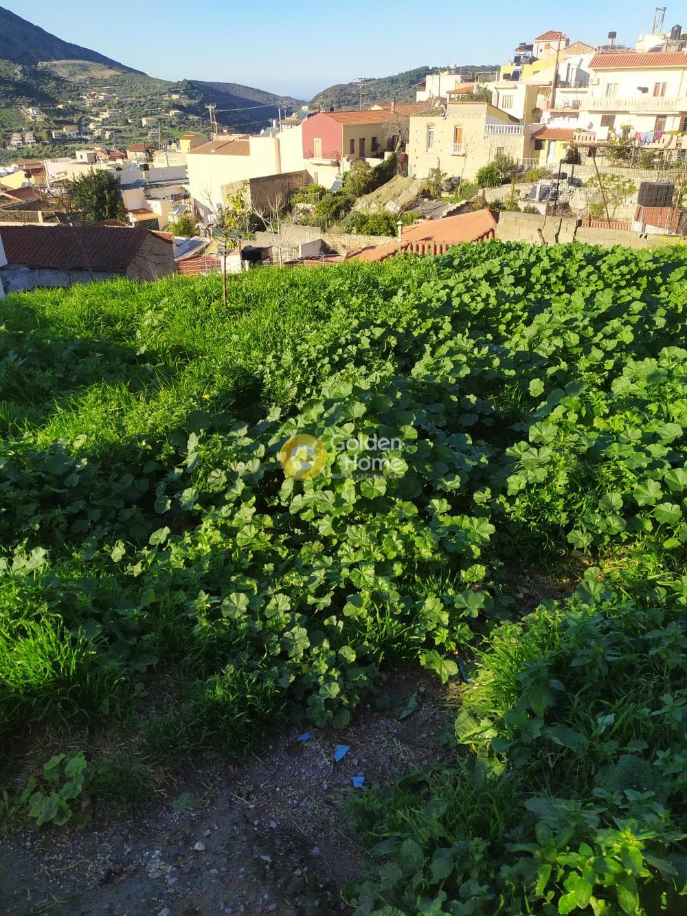 Οικόπεδο στην Επάνω Αρχάνες, Αρχάνες — Φωτογραφία 22 από 22