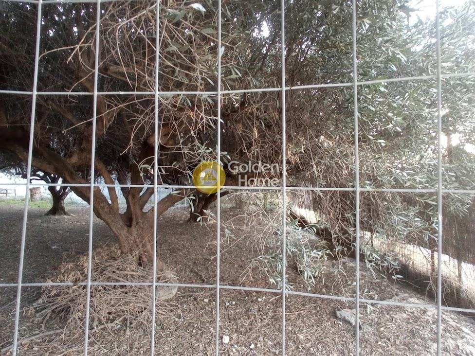 Building Plot in Agia Triada, Heraclion Cretes — Photo 2 of 6