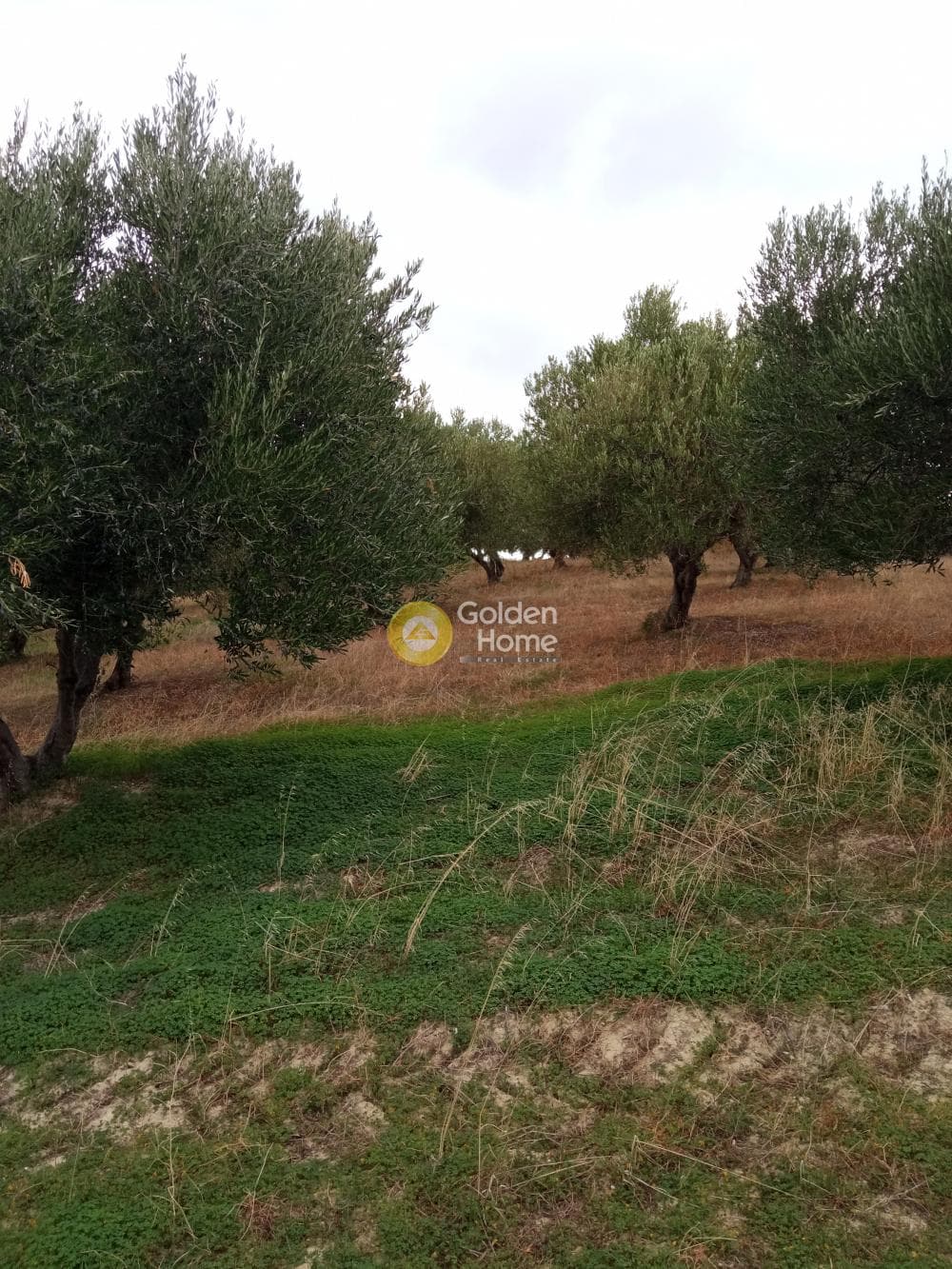 Building Plot in Gournes, Temenos — Photo 1 of 13