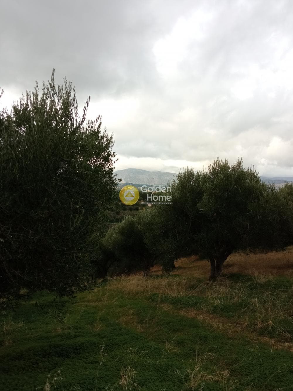 Building Plot in Gournes, Temenos — Photo 2 of 13