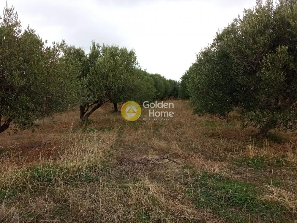 Building Plot in Gournes, Temenos — Photo 7 of 13