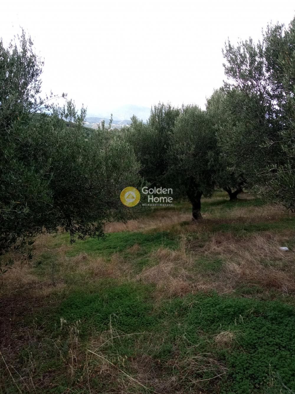 Building Plot in Gournes, Temenos — Photo 12 of 13