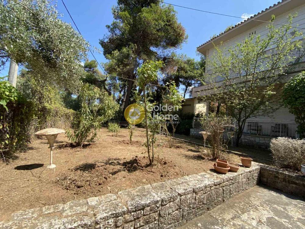 House in Agioi Aggeloi, Anoixi — Photo 7 of 30