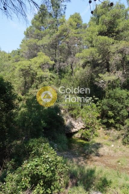 Οικόπεδο στην Αγία Τριάδα, Αφίδνες — Φωτογραφία 4 από 15