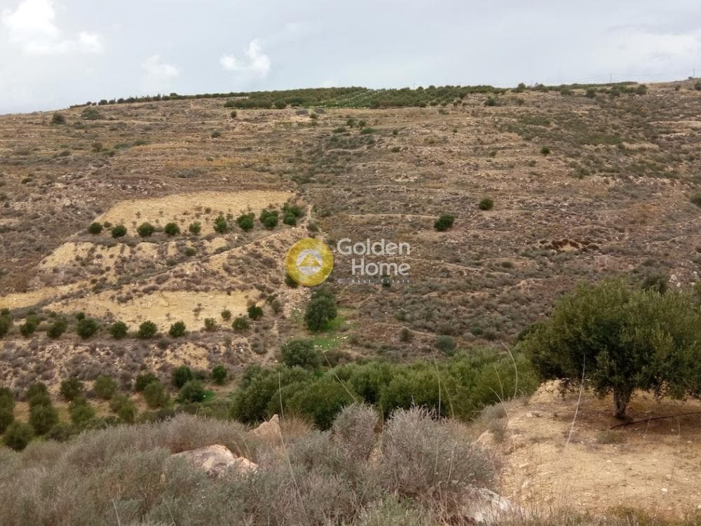 Αγροτεμάχιο στην Καμηλάρι, Τυμπάκι — Φωτογραφία 3 από 21