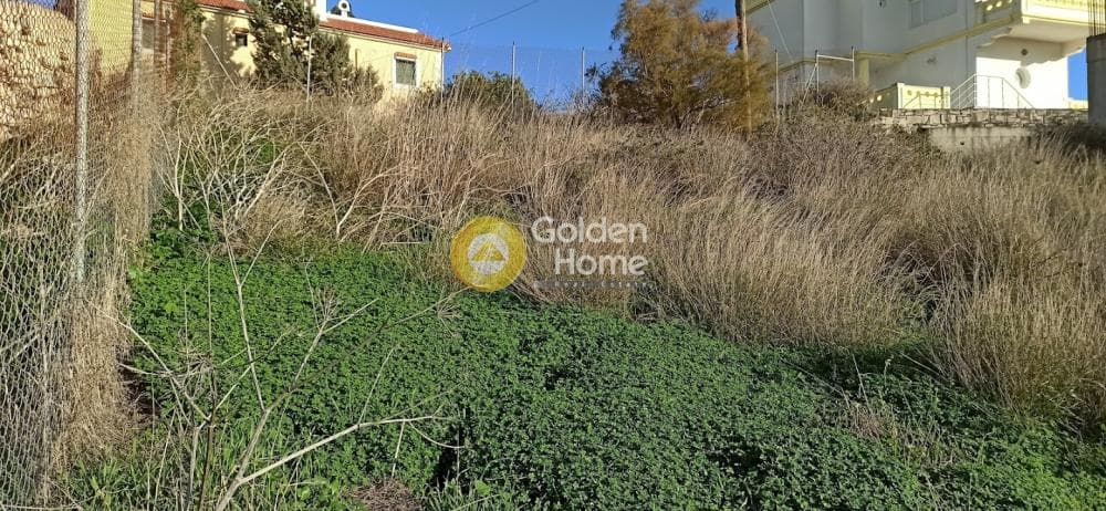 Οικόπεδο στην Καμηλάρι, Τυμπάκι — Φωτογραφία 9 από 18