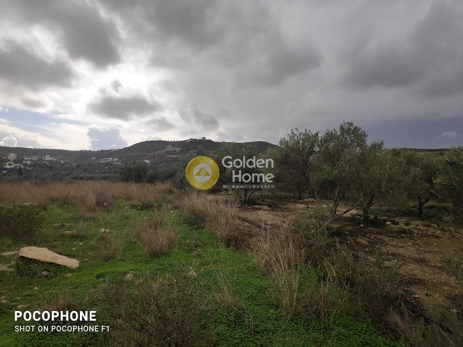 Αγροτεμάχιο στην Καμηλάρι, Τυμπάκι — Φωτογραφία 1 από 16