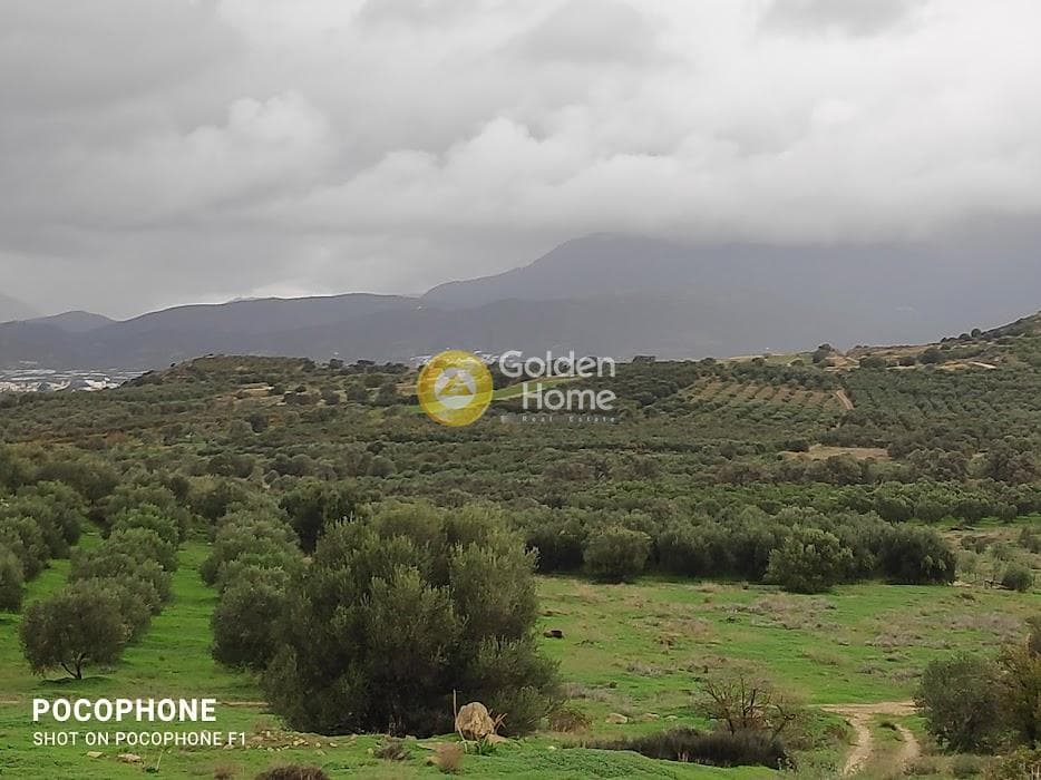 Αγροτεμάχιο στην Καμηλάρι, Τυμπάκι — Φωτογραφία 4 από 16