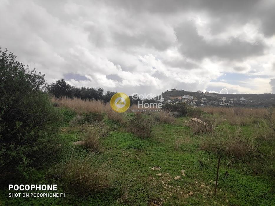Αγροτεμάχιο στην Καμηλάρι, Τυμπάκι — Φωτογραφία 2 από 16