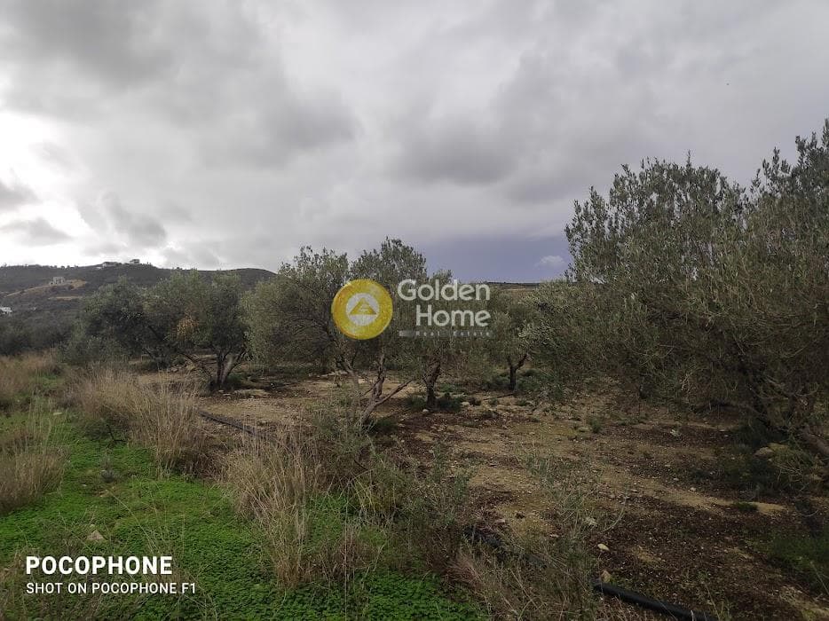 Αγροτεμάχιο στην Καμηλάρι, Τυμπάκι — Φωτογραφία 5 από 16