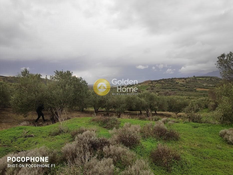 Αγροτεμάχιο στην Καμηλάρι, Τυμπάκι — Φωτογραφία 9 από 16